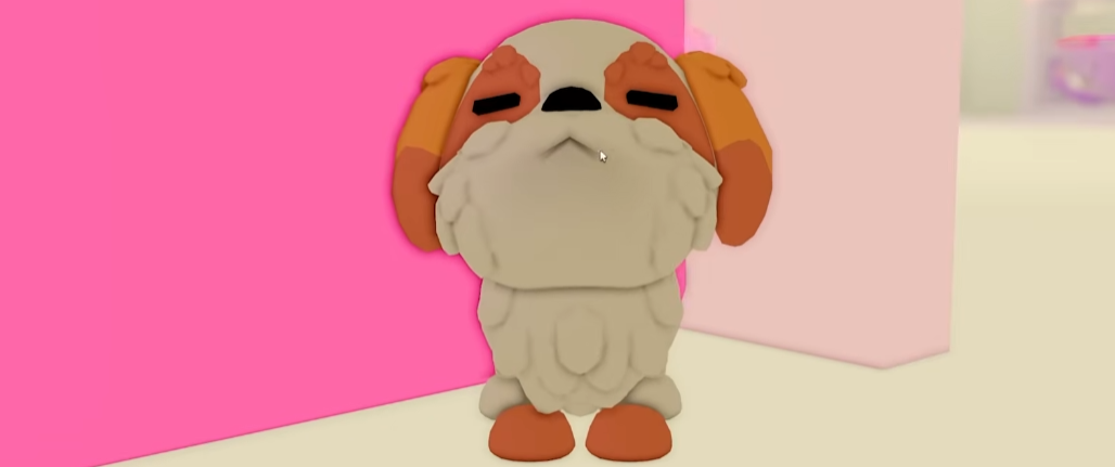 Adopt Me Shih Tzu Dog